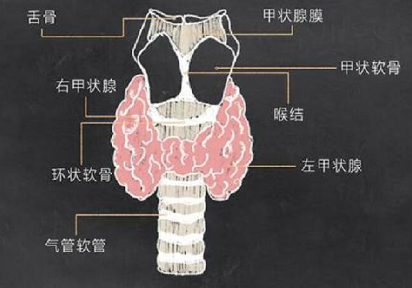 错误