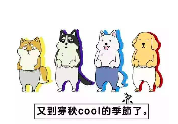 错误