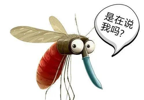 错误