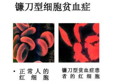 错误