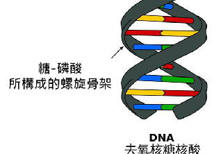 错误