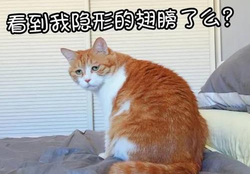 错误