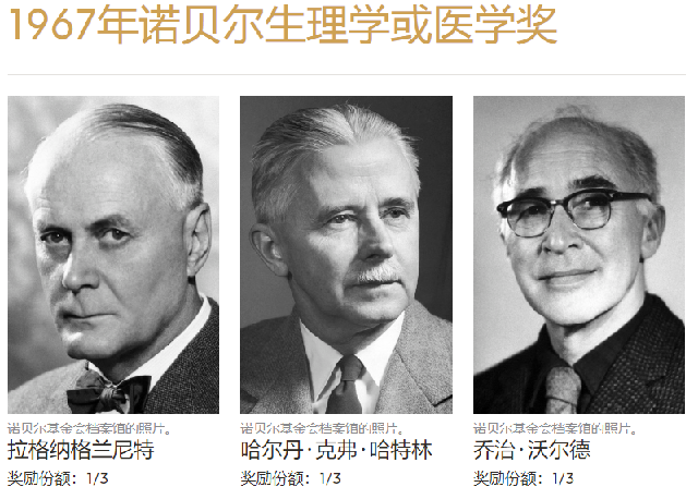 错误