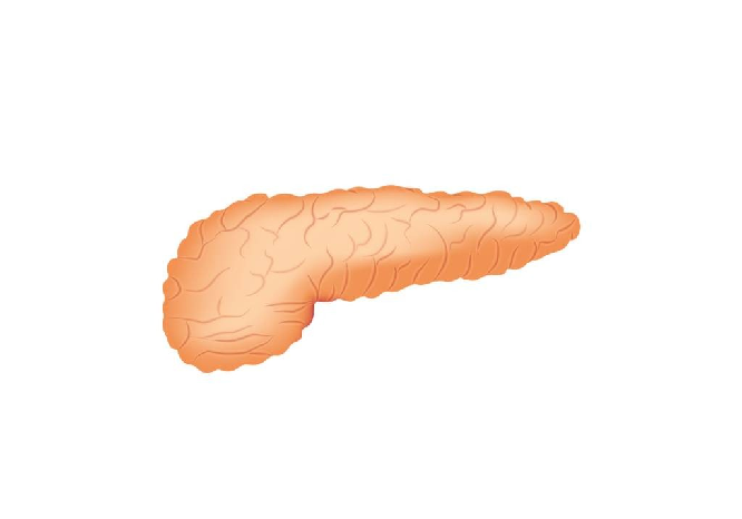错误