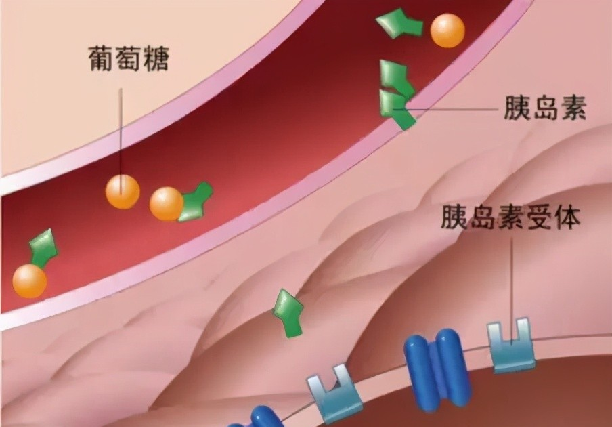 错误