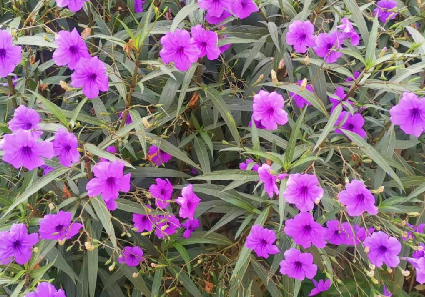 错误