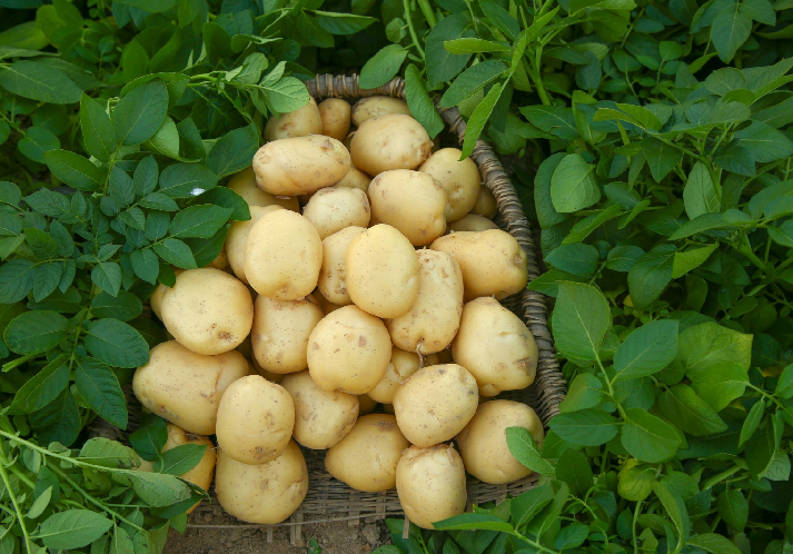 错误