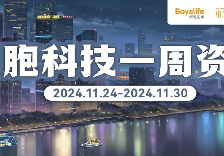 错误