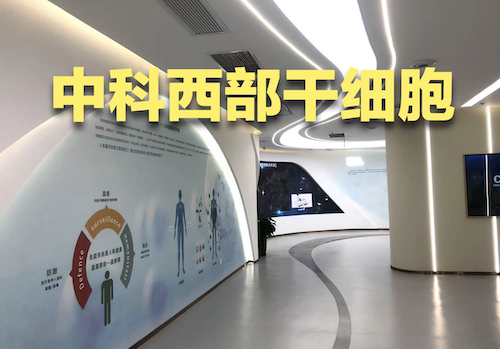 错误